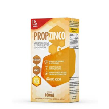 Suplemento Alimentar Propzinco Xarope Sabor Mel 100ml
