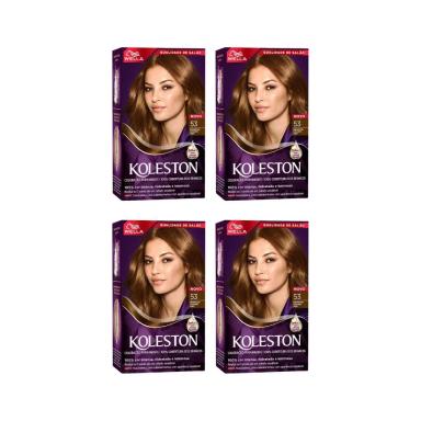 COLORAçAO KOLESTON 53 CASTANHO OURO-KIT C/4UN