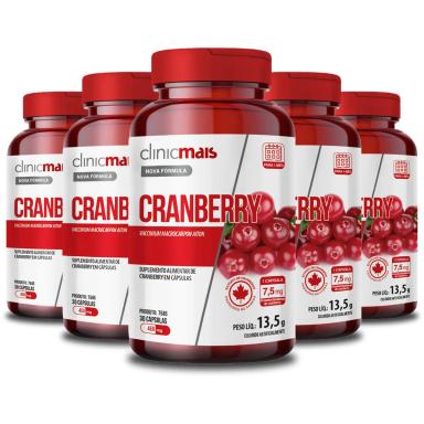 Produto 2 - 28082025
