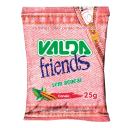 Pastilhas Valda Friends Canela Sem Açúcar 25g