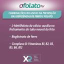 Suplemento Alimentar Ofolato Fer com 90 comprimidos