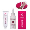 Biocolor Kit Econômico Coloração Creme 6.6 Vermelho Intenso Queridinho com 1 unidade