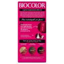 Biocolor Kit Econômico Coloração Creme 6.6 Vermelho Intenso Queridinho com 1 unidade