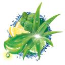 Pasta de Dente em Gel Closeup Proteção 360º Fresh Aloe Fresh com 90g