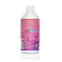 Upgrade Energy Equaliv 473ml