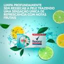 Kit Sabonete em Barra Rexona Antibacterial Fresh com 6 unidades de 84g cada