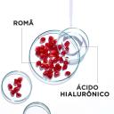 Máscara Facial em Tecido Garnier Hidra Bomb Romã Revitalizante 32g