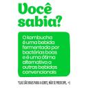 Kombucha Nutrigood sabor Uva Verde e Hortelã com 300ml