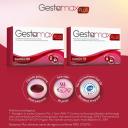 Suplemento Alimentar Gestamax Plus com 60 cápsulas