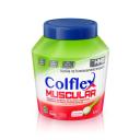 Colflex Muscular Colágeno Hidrolisado em Pó com 381g