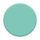 Esmalte Cremoso Risqué Revolução das Cores Menta.Liza com 8ml