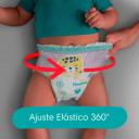 Fralda Pampers Pants Ajuste Total M - 20 Unidades