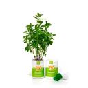 Sabonete Líquido Up2You Kids com 300ml