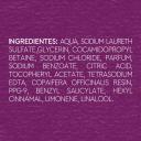 Sabonete Líquido para as Mãos Lux Botanicals Essências do Brasil Dama-da-Noite com 300ml