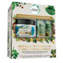 Kit Shampoo Pantene Bambu com 200ml + Máscara Herbal Essences Argan com 300ml