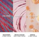 Super Ampola Capilar Vichy Dercos Energizante Tratamento Antiquebra 40ml