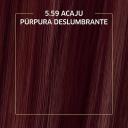 Mini Kit Biocolor Coloração Creme Acaju Púrpura 5.59 com 1 unidade