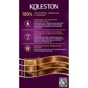 Tintura Creme Koleston Noites Iluminadas 641 Pôr do Sol Castanho Cobre com 1 Unidade