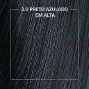 Biocolor Kit Econômico Coloração Creme 2.0 Preto Azulado em Alta com 1 unidade