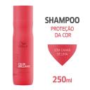 Shampoo Wella Professionals Invigo Color Brilliance com 250ml