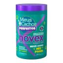 Creme de Tratamento Novex Meus Cachos Perfeitos com 400g