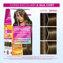 Tinta de Cabelo Casting Creme Gloss - Poder Iluminador de L’Oréal Paris 617 Jade Acinzentado 230g