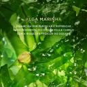 Shampoo Pantene Pro-V Miracles Equilíbrio Raiz e Pontas 300ml