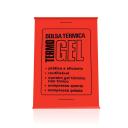Bolsa Térmica Grande Termogel com 1 unidade