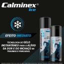 Calminex Ice Aerosol com 170g