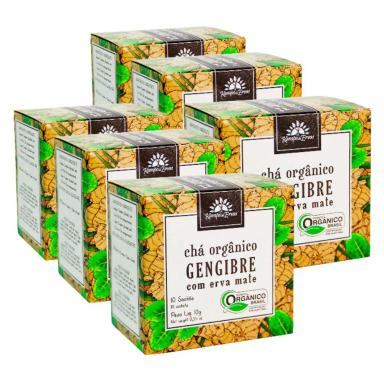 GENGIBRE CHá ORGâNICO COM ERVA MATE KAMPO DE ERVAS 60 SACHêS