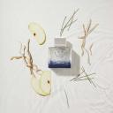 BANDERAS KING OF SEDUCTION EDT PERFUME MASCULINO 100ML