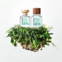 BENETTON UNITED DREAMS FOREVER GREEN HIM EDT PERFUME MASCULINO 100ML