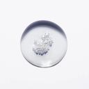 KéRASTASE CHRONOLOGISTE BAIN RéGéNéRANT SHAMPOO 250ML