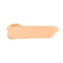 FRAN BY FRANCINY EHLKE COVER  CORRETIVO C-01 4G - xpto