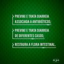 Probiótico Floratil AT 250mg 6 cápsulas