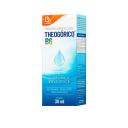 Theogórico B6 Sobral Gotas 30ml