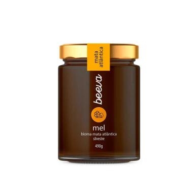 Mel Beeva Mata Atlântica Silvestre Vidro Solução 490g