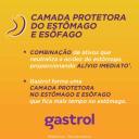 Gastrol Hidróxido de Alumínio 125mg/ml + Hidróxido de Magnésio 50mg/ml + Simeticona 180mg/ml Suspensão Oral 250ml