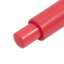 Protetor Labial Esfoliante Dailus Lip Scrub Cereja FPS8 4g