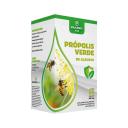 Suplemento Alimentar Própolis Verde de Alecrim 400mg Equilíbrio Vita com 60 Cápsulas