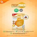 Suplemento Alimentar Propzinco Xarope Sabor Mel 100ml