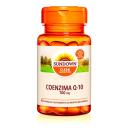 Coenzima Q10 CoQ-10 100mg Sundown Naturals 40 cápsulas