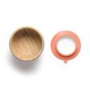 TIGELA COM VENTOSA BAM N' BOO 6+M ROSA FISHER PRICE - BB1167 BB1167