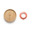 PRATO RASO COM VENTOSA BAM N' BOO 6+M ROSA - FISHER PRICE - BB1169 BB1169