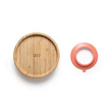 PRATO RASO COM VENTOSA BAM N' BOO 6+M ROSA - FISHER PRICE - BB1169 BB1169