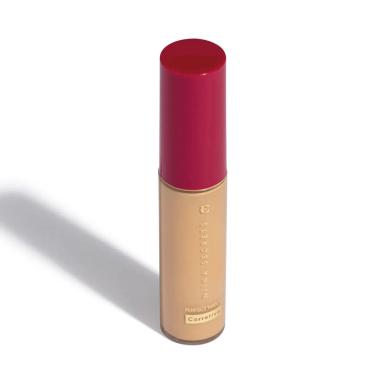 EUDORA NIINA SECRETS PERFECT MATCH CORRETIVO COR 25 10ML