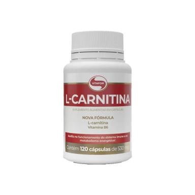L CARNITINA 120 CAPSULA 530MG - VITAFOR