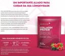 PURA VIDA COLLAGEN PROTEIN BERRIES SILVESTRE 450G