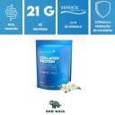 COLLAGEN PROTEIN PURAVIDA 450G COLáGENOPURO Sem Sabor