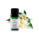 ÓLEO ESSENCIAL JASMIM GRANDIFLORUM ABSOLUTO TERRAFLOR 3ML